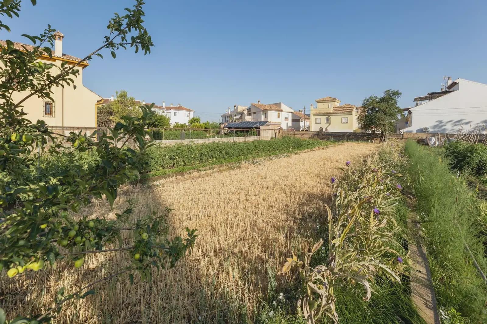 Building Plot for sale in La Zubia - € 225,000 (Ref: 9836937)