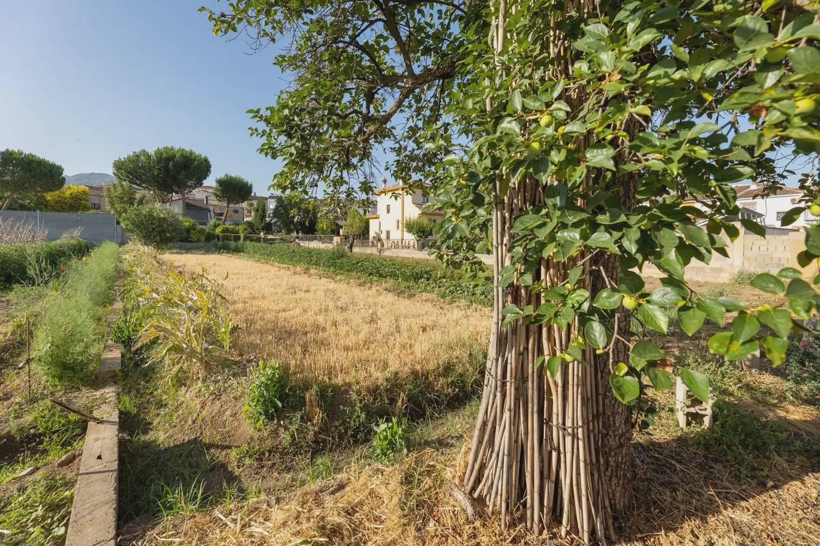 Building Plot for sale in La Zubia - € 225,000 (Ref: 9836937)