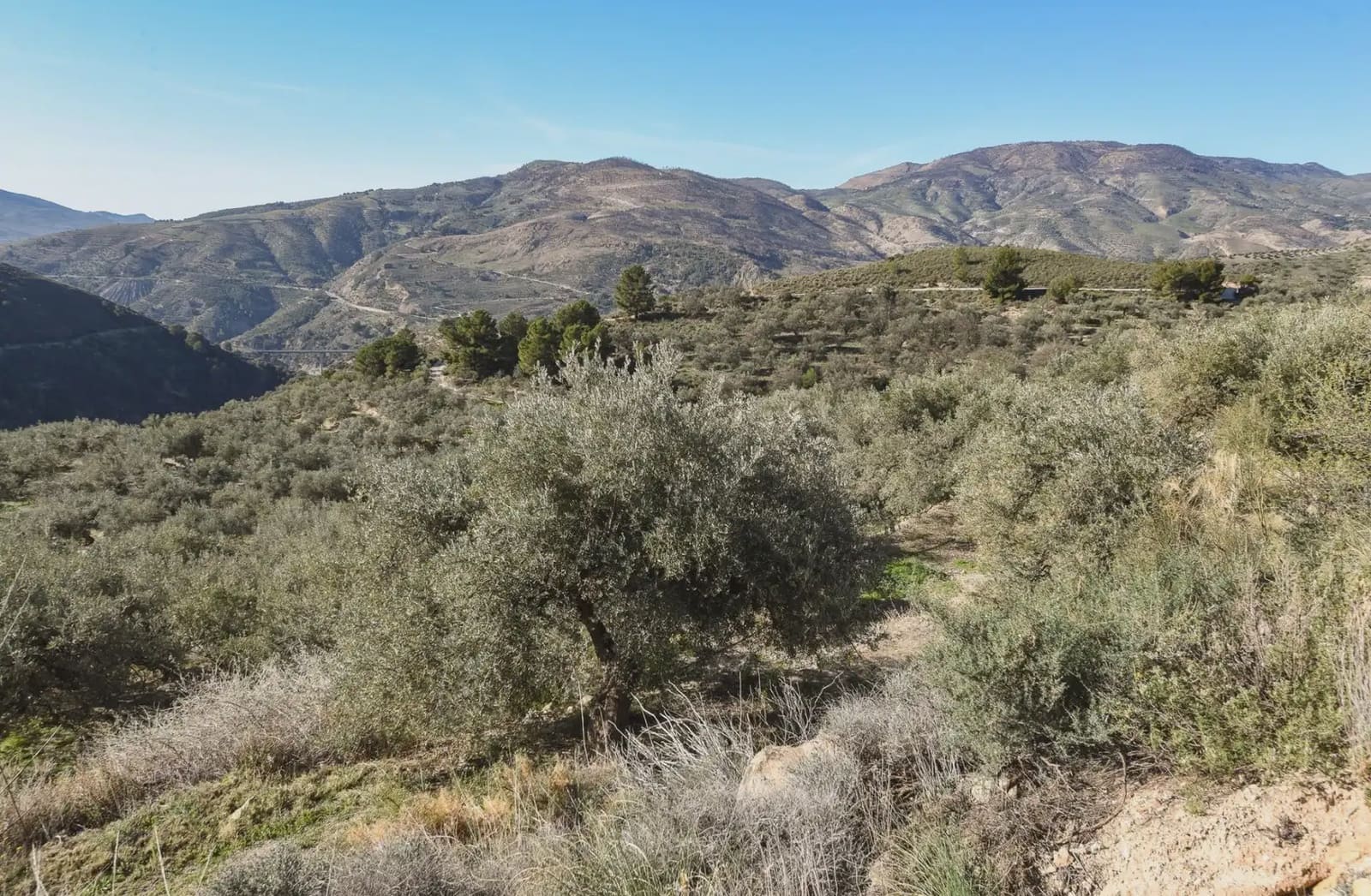 Finca/Country House for sale in Lanjaron - € 33,000 (Ref: 9836953)