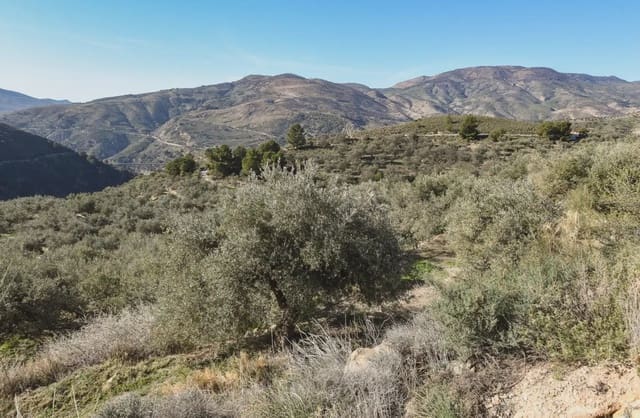 Finca/Landhuis te koop in Lanjarón - € 33.000 (Ref: 9836953)