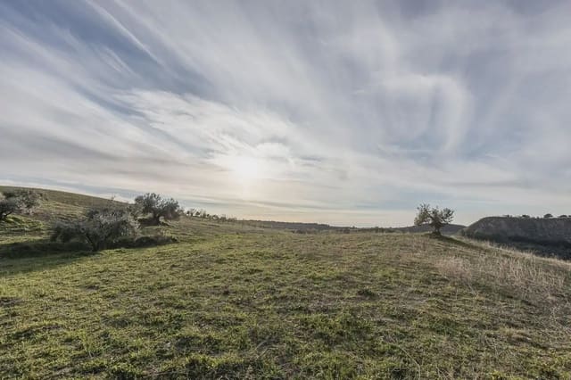 Finca/Herregård til salgs i Cájar - € 110 000 (Ref: 9836956)