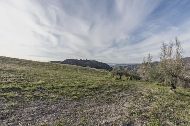 Finca/Herregård til salgs i Cájar - € 110 000 (Ref: 9836956)