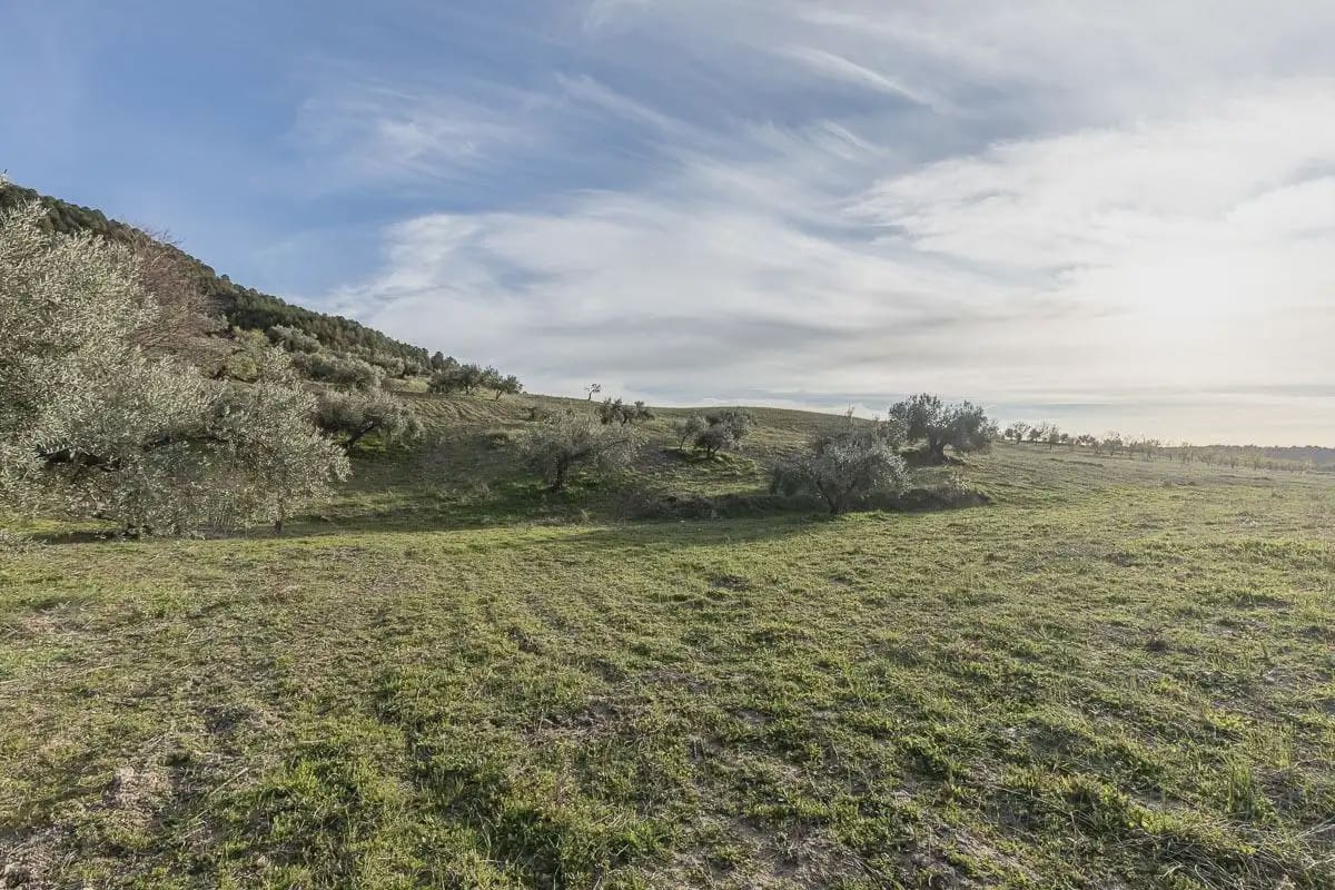 Finca/Landehus til salg i Cajar - € 110.000 (Ref: 9836956)