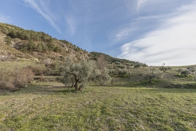 Finca/Herregård til salgs i Cájar - € 110 000 (Ref: 9836956)