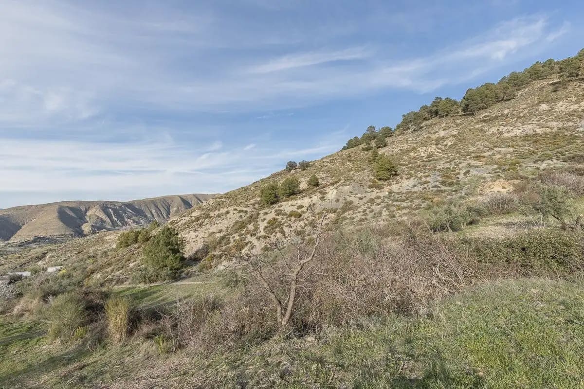 Finca/Landehus til salg i Cajar - € 110.000 (Ref: 9836956)