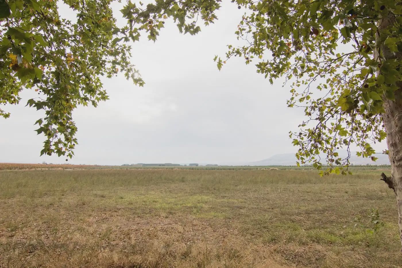 Finca/Herregård til salgs i Pinos Puente - € 370 000 (Ref: 9836958)