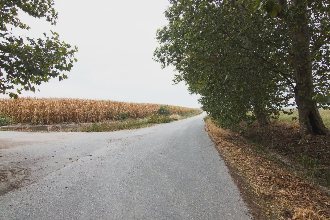 Finca/Herregård til salgs i Pinos Puente - € 370 000 (Ref: 9836958)