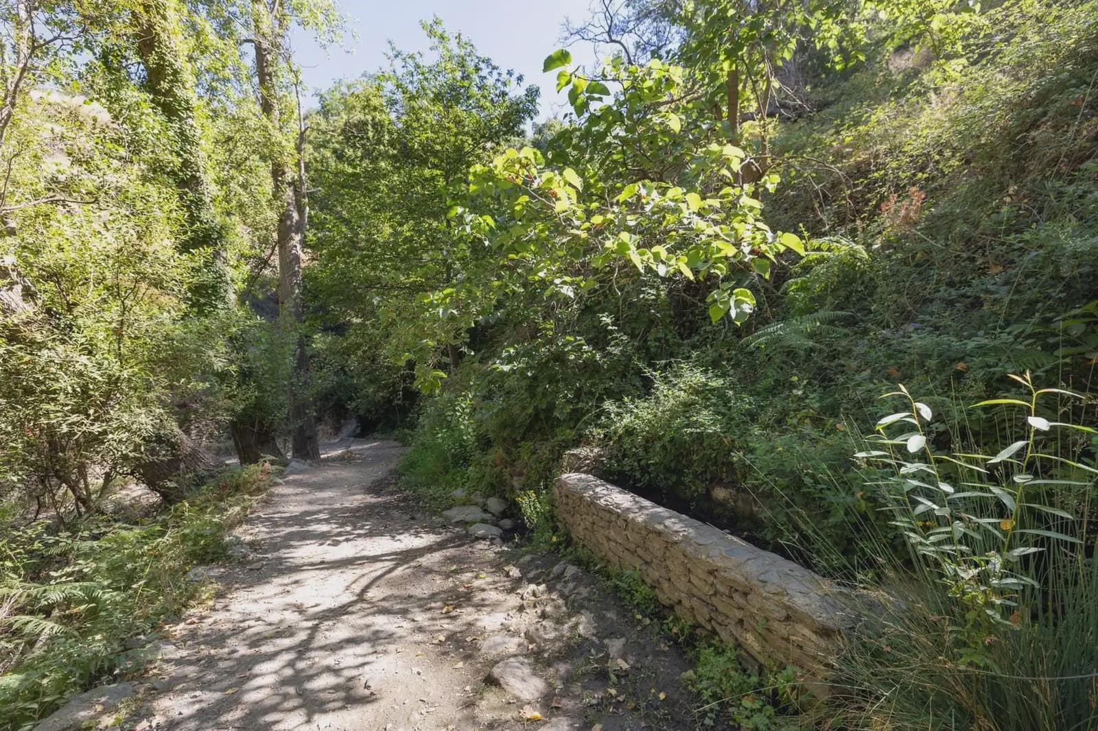 Grunde uden byggetilladelser til salg i Bubion - € 60.000 (Ref: 9836963)