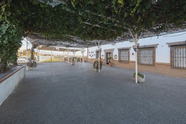 Erhverv til salg i Pedanias de Granada, Granada by - € 640.000 (Ref: 9836969)