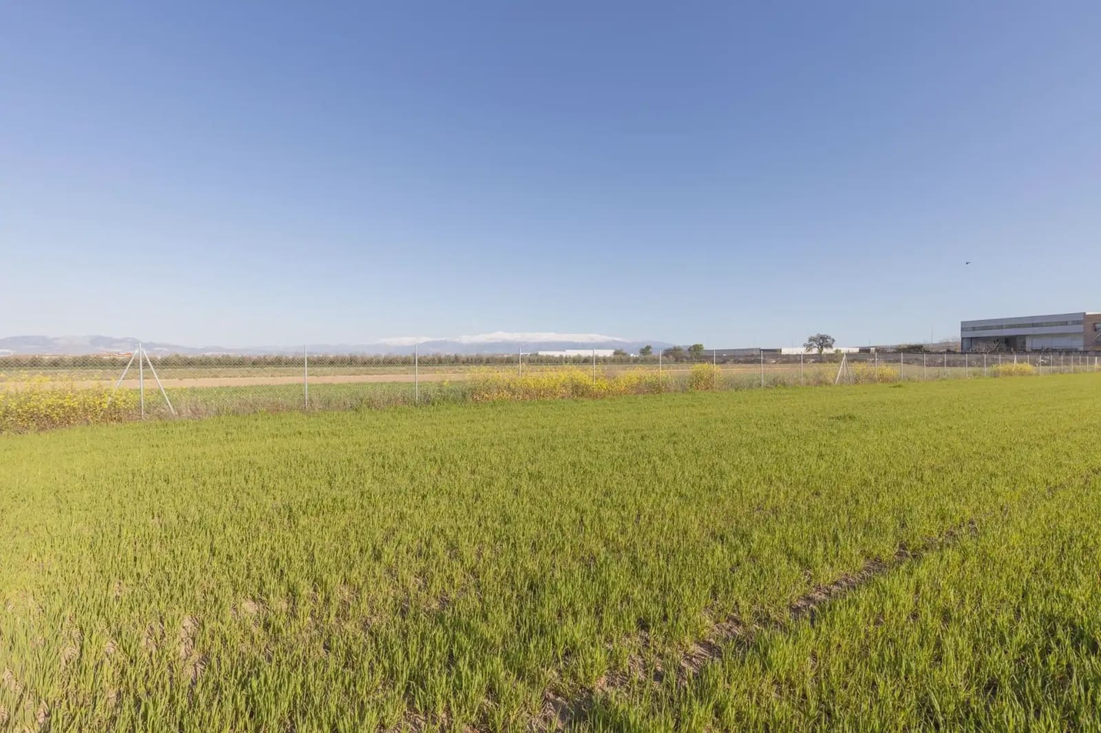 Grunde uden byggetilladelser til salg i Chauchina - € 85.000 (Ref: 9837013)