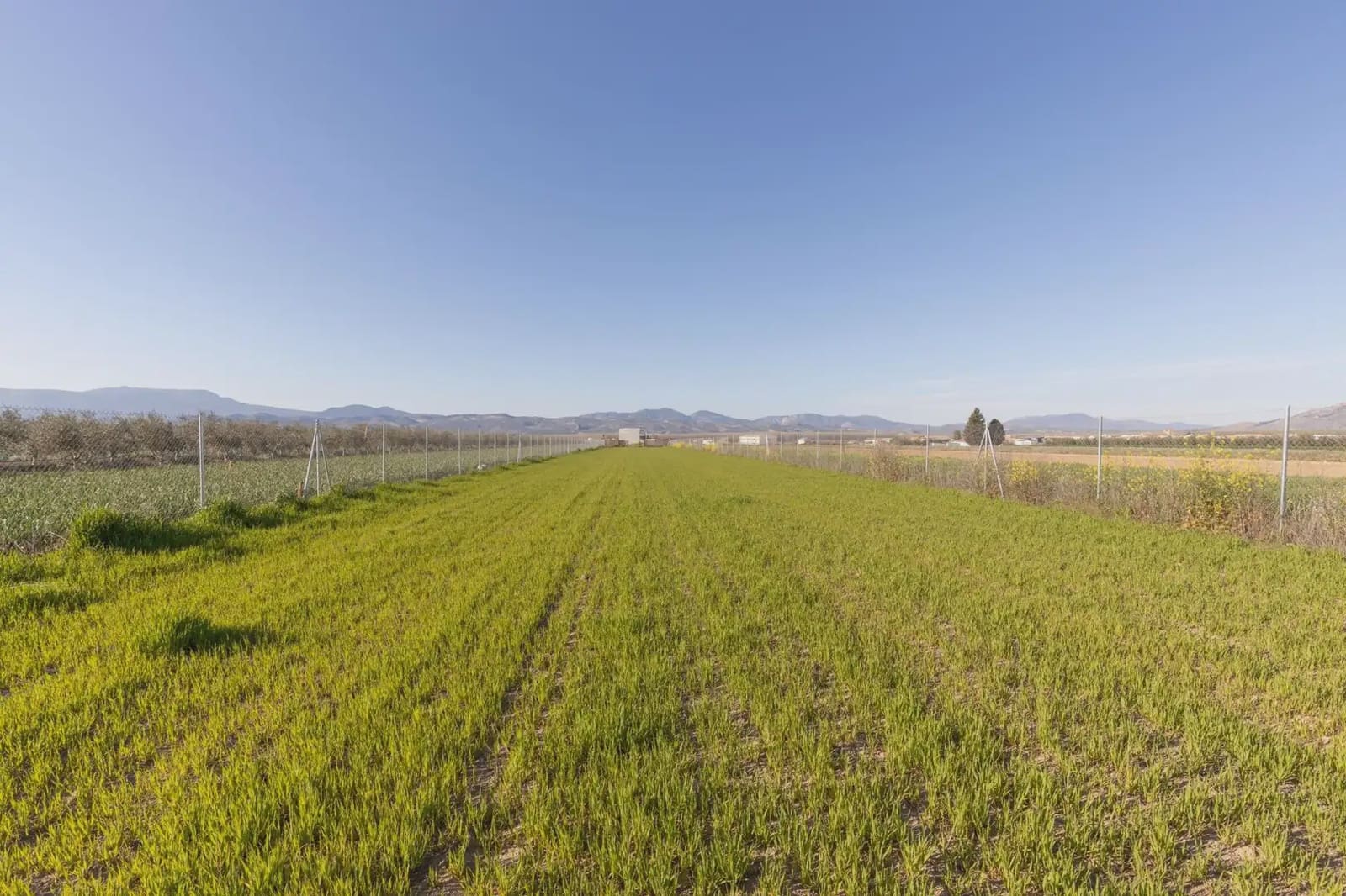 Grunde uden byggetilladelser til salg i Chauchina - € 85.000 (Ref: 9837013)