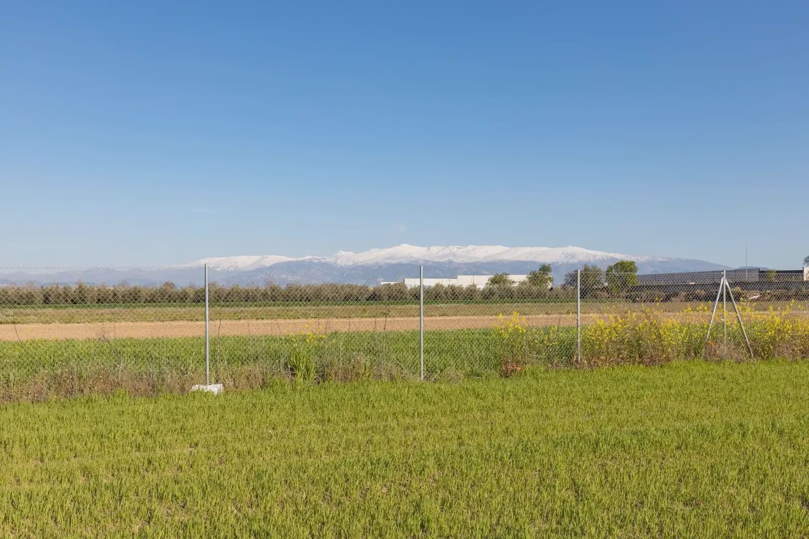 Grunde uden byggetilladelser til salg i Chauchina - € 85.000 (Ref: 9837013)