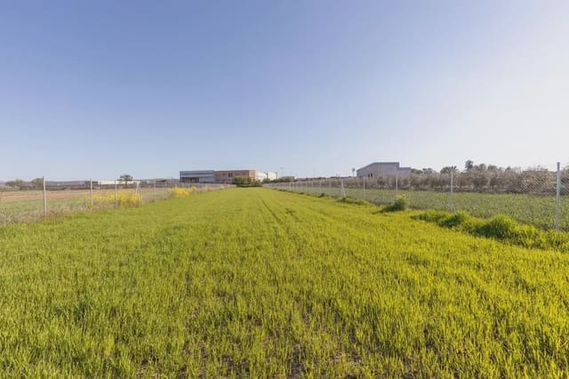 Grunde uden byggetilladelser til salg i Chauchina - € 85.000 (Ref: 9837013)
