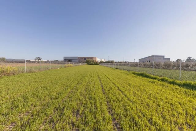 Grunde uden byggetilladelser til salg i Chauchina - € 85.000 (Ref: 9837013)