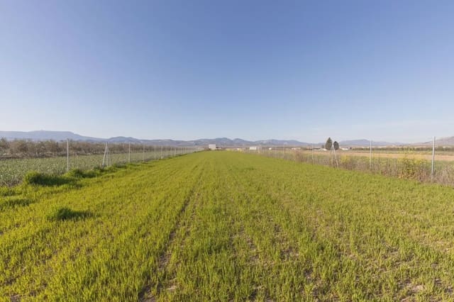 Grunde uden byggetilladelser til salg i Chauchina - € 85.000 (Ref: 9837013)