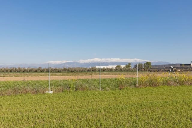 Grunde uden byggetilladelser til salg i Chauchina - € 85.000 (Ref: 9837013)