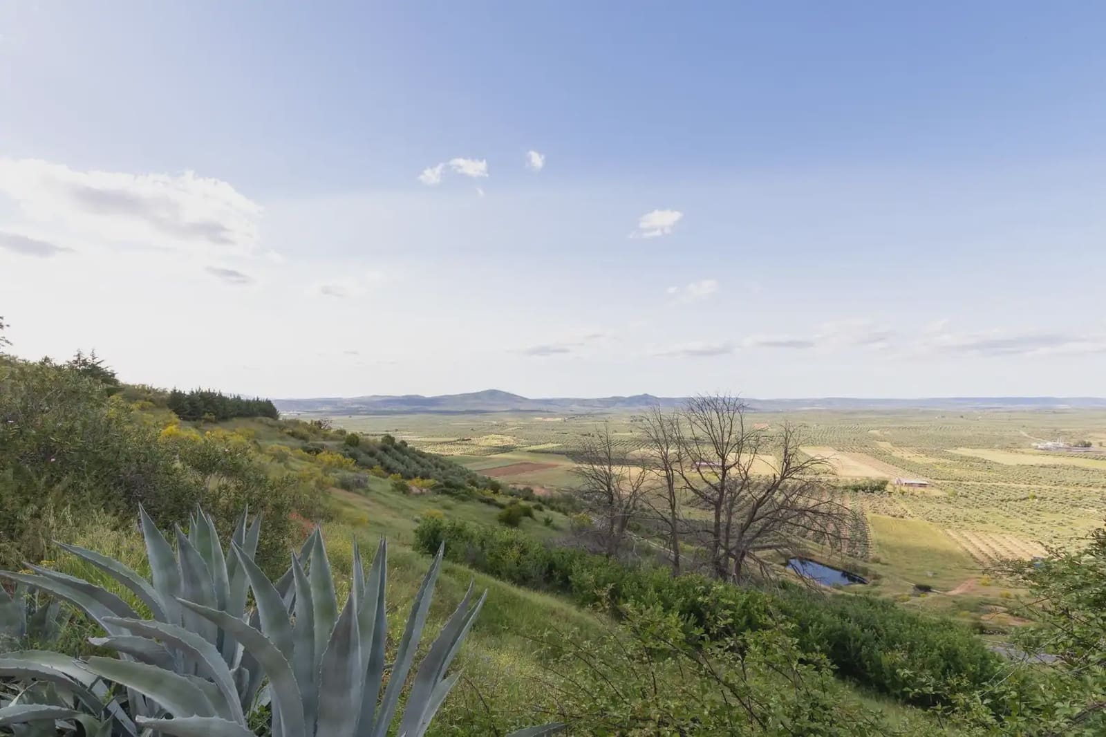 Finca/Country House for sale in Castellar with pool - € 600,000 (Ref: 9837019)