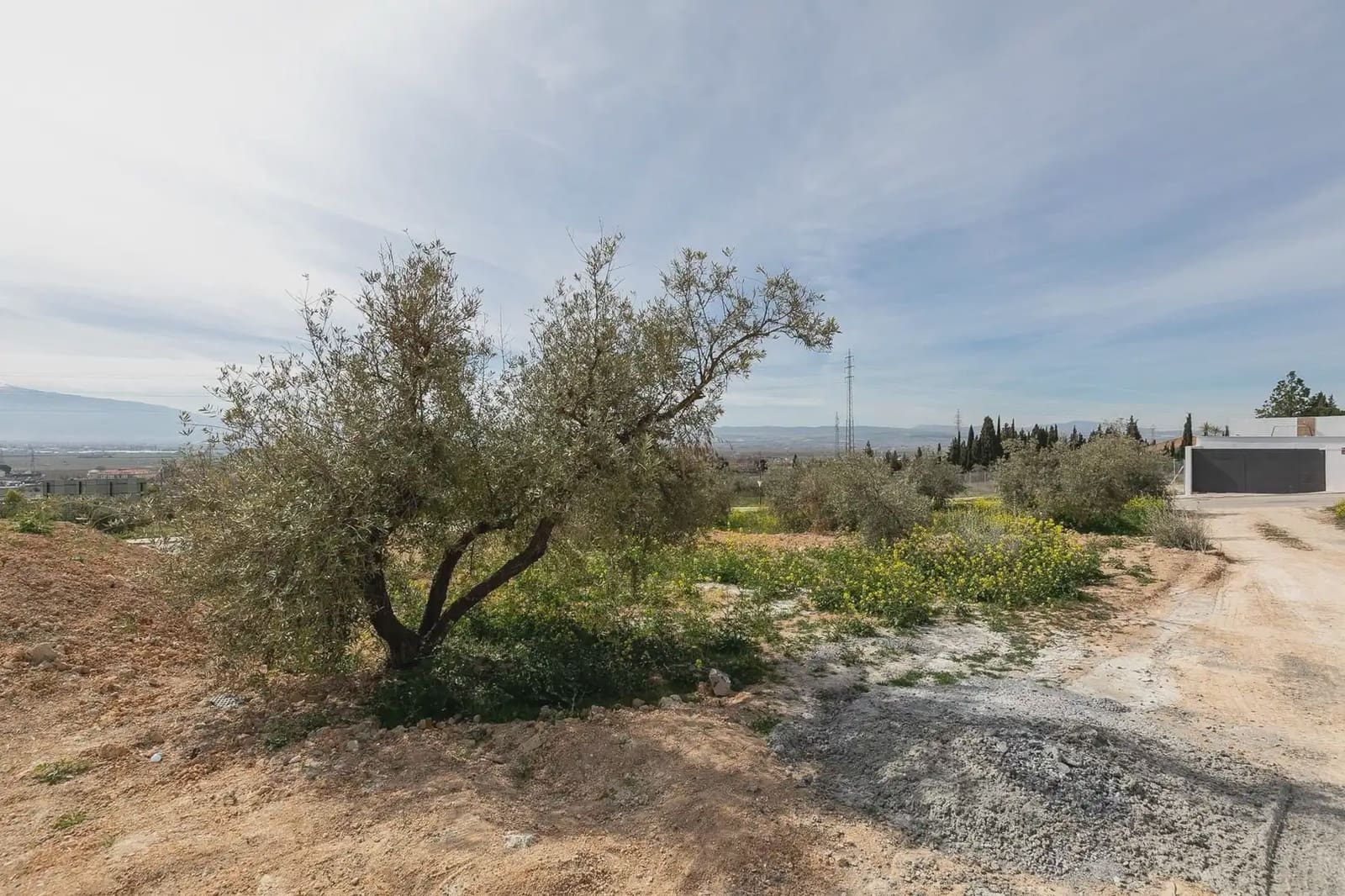 Byggegrund til salg i Granada by - € 71.500 (Ref: 9837022)