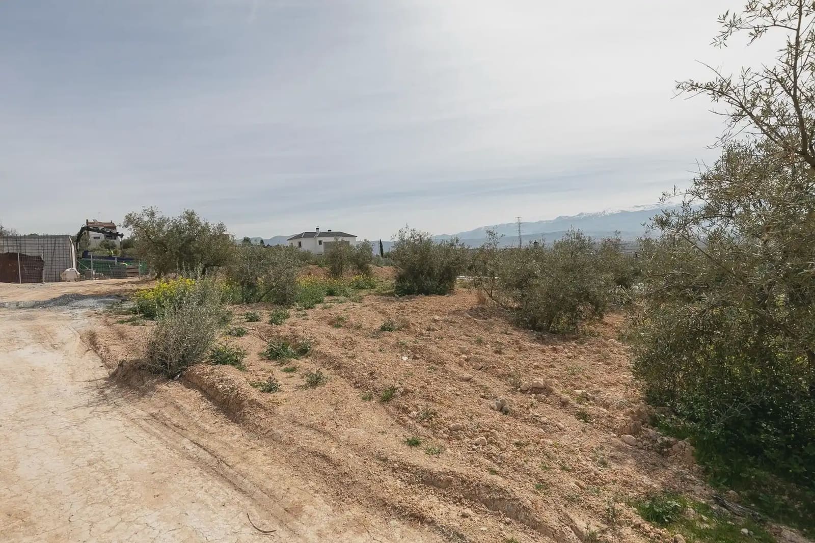 Byggegrund til salg i Granada by - € 71.500 (Ref: 9837022)