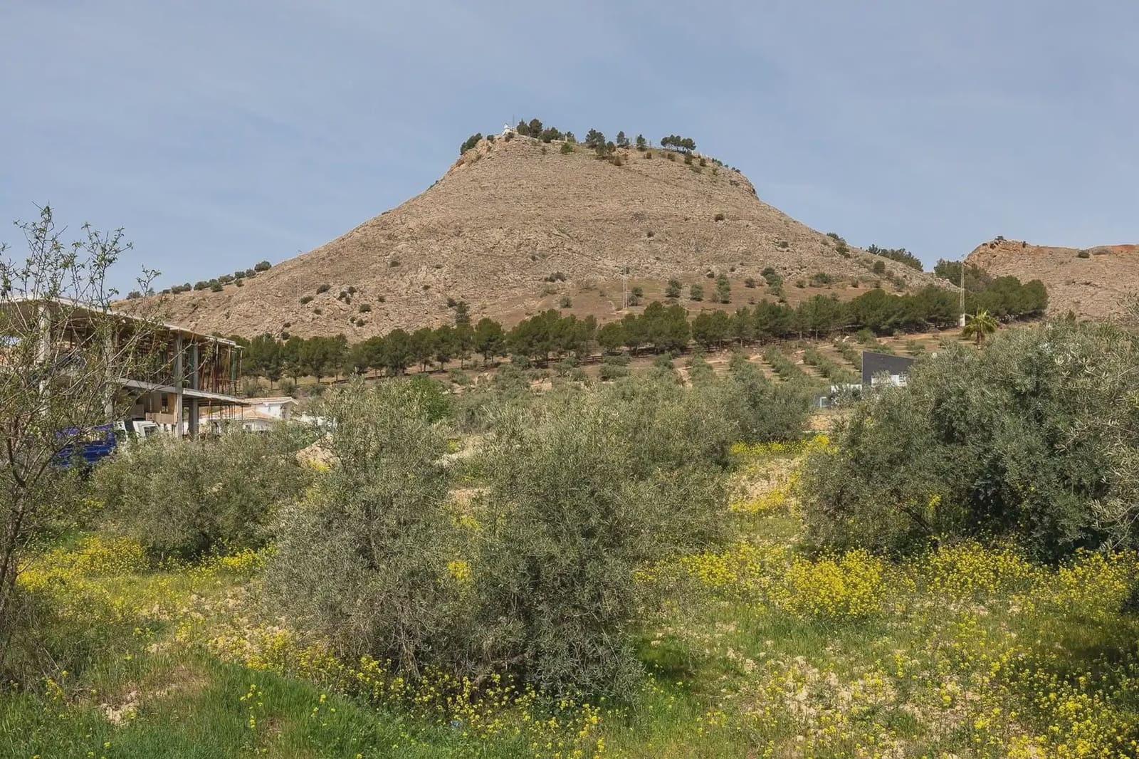 Byggegrund til salg i Granada by - € 71.500 (Ref: 9837022)