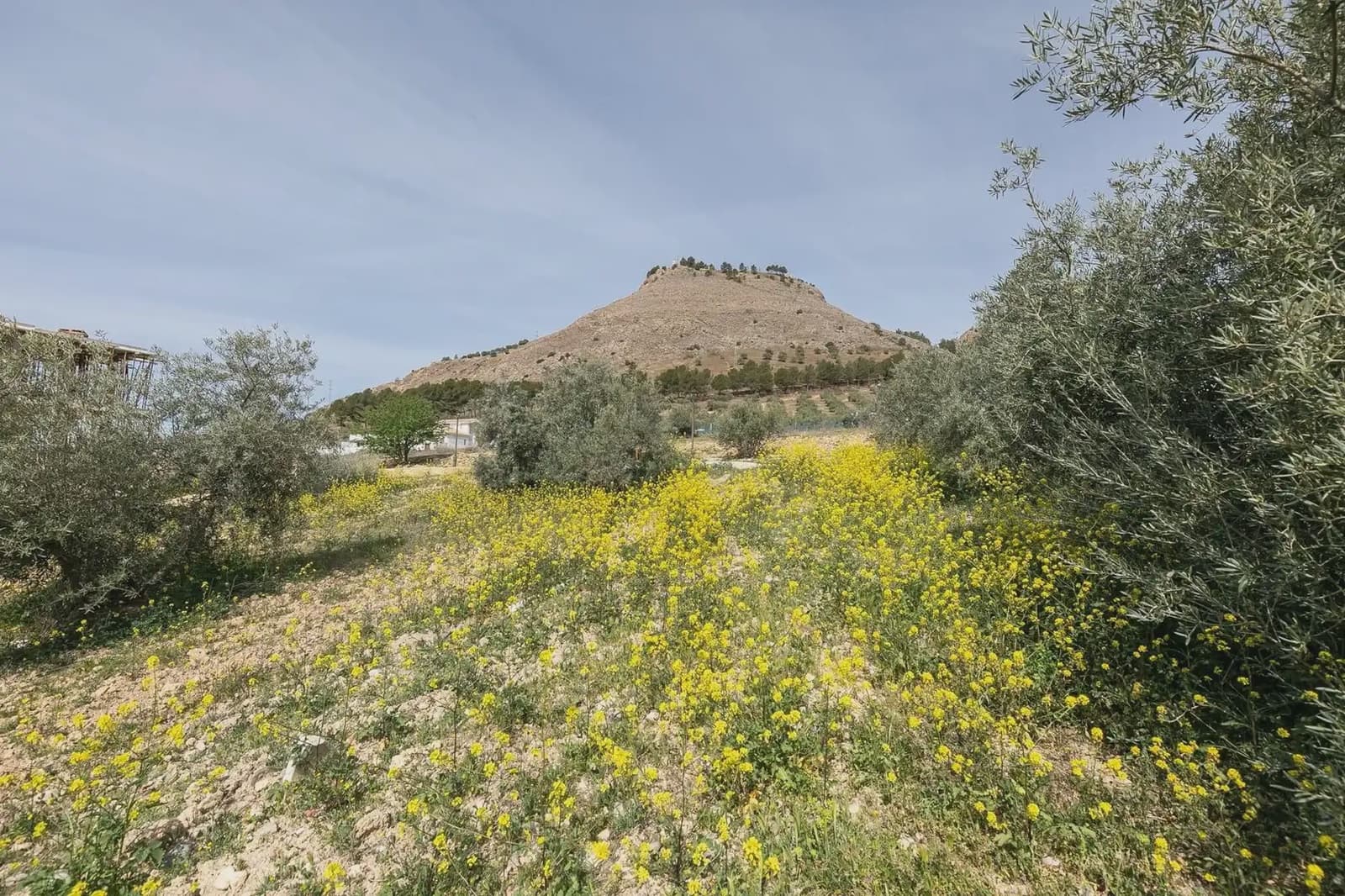 Byggegrund til salg i Granada by - € 71.500 (Ref: 9837022)