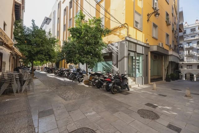 Erhverv til salg i San Matías - Realejo, Granada by - € 295.000 (Ref: 9837023)