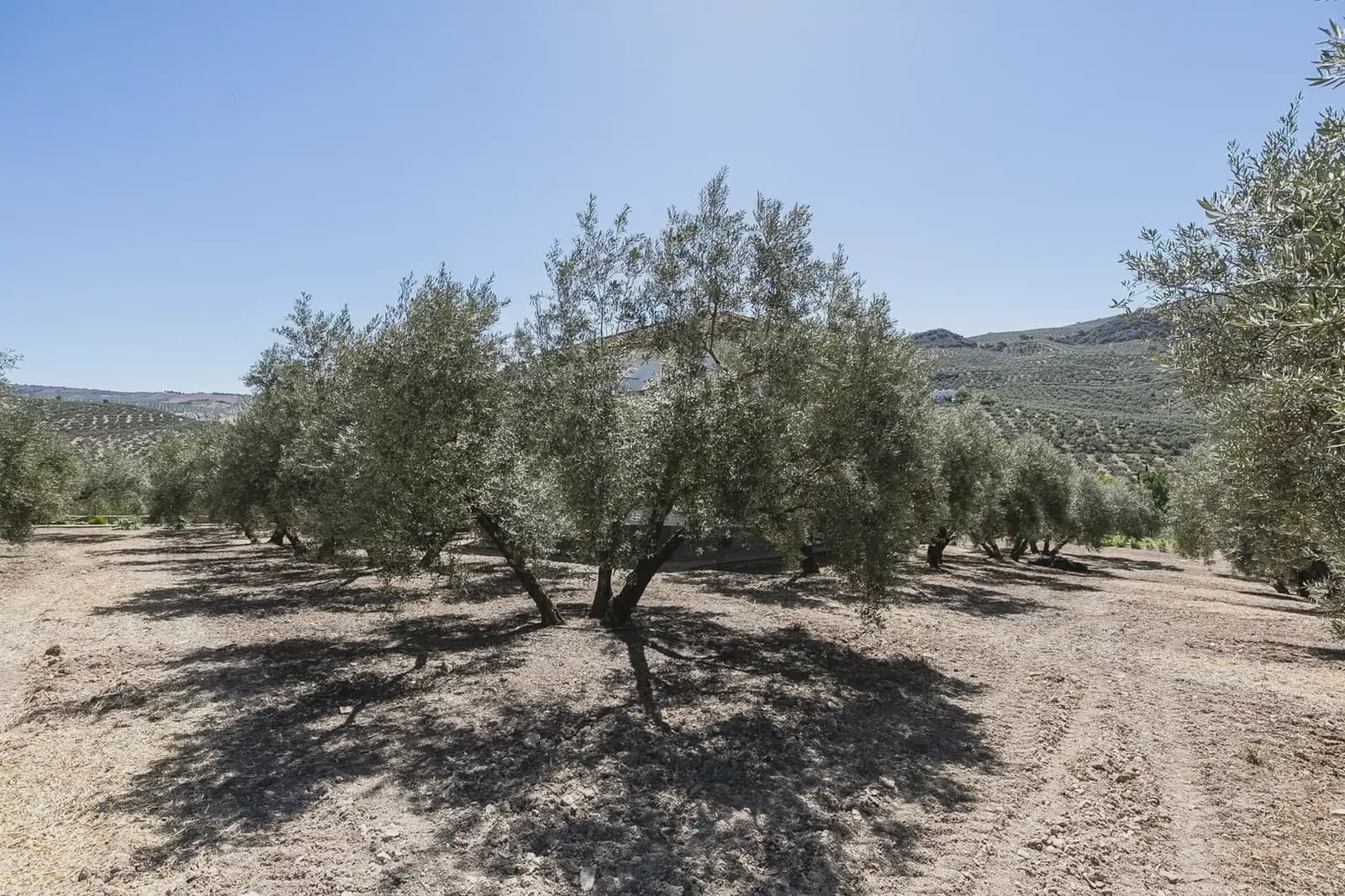 Finca/Country House for sale in Montefrio with pool garage - € 790,000 (Ref: 9837025)