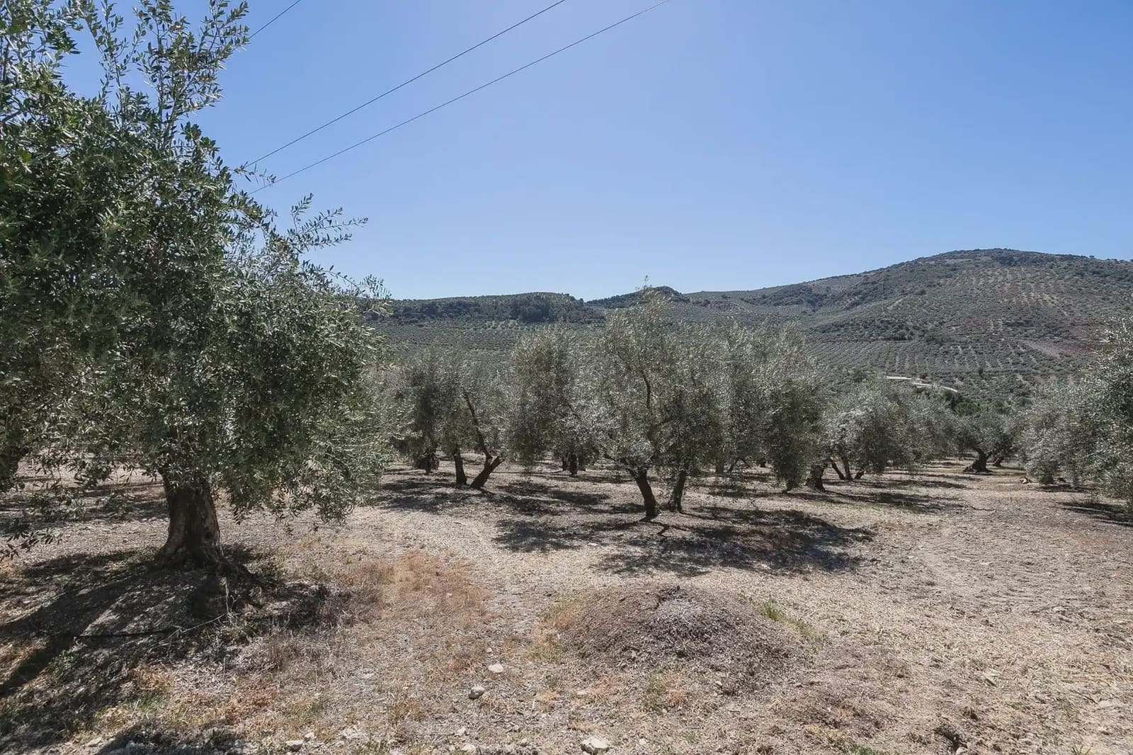 Finca/Country House for sale in Montefrio with pool garage - € 790,000 (Ref: 9837025)