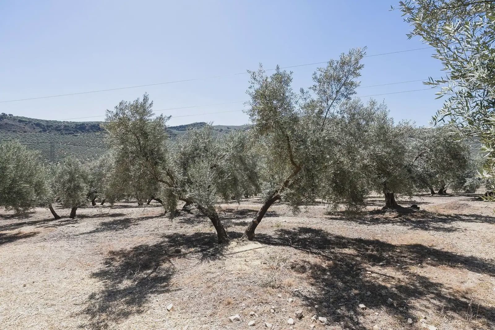 Finca/Country House for sale in Montefrio with pool garage - € 790,000 (Ref: 9837025)