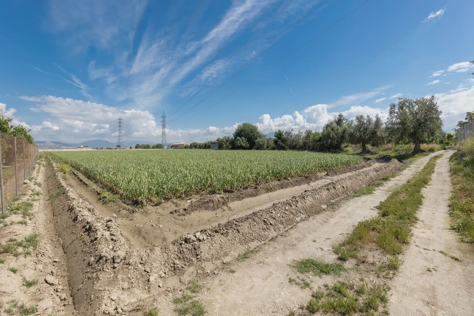 Grond te koop in Cullar Vega - € 45.000 (Ref: 9837048)
