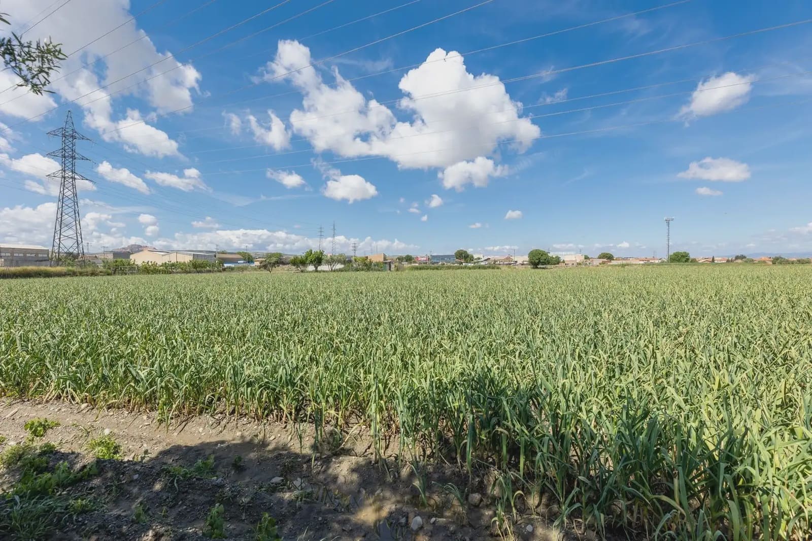 Grond te koop in Cullar Vega - € 45.000 (Ref: 9837048)