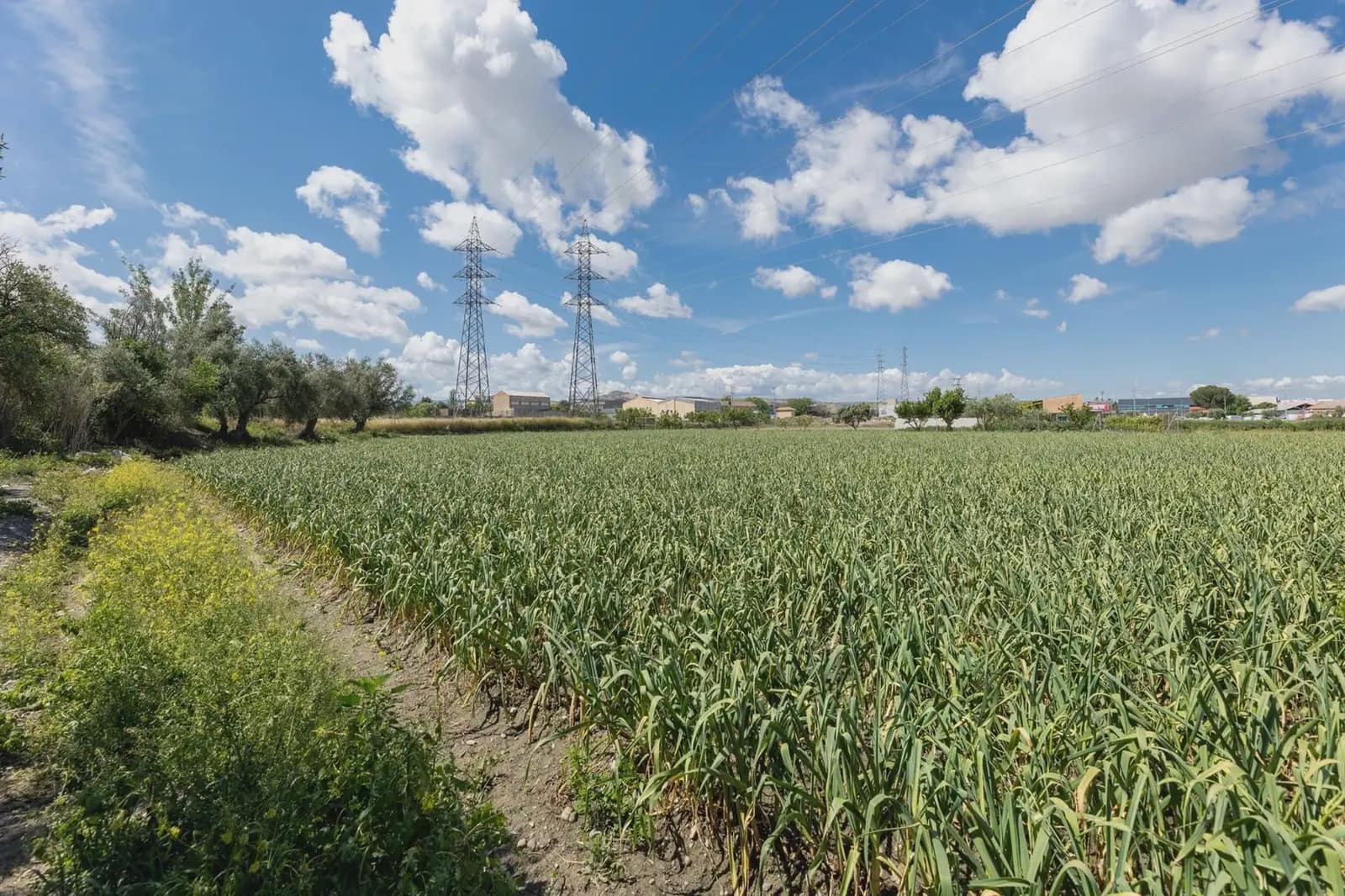 Grond te koop in Cullar Vega - € 45.000 (Ref: 9837048)