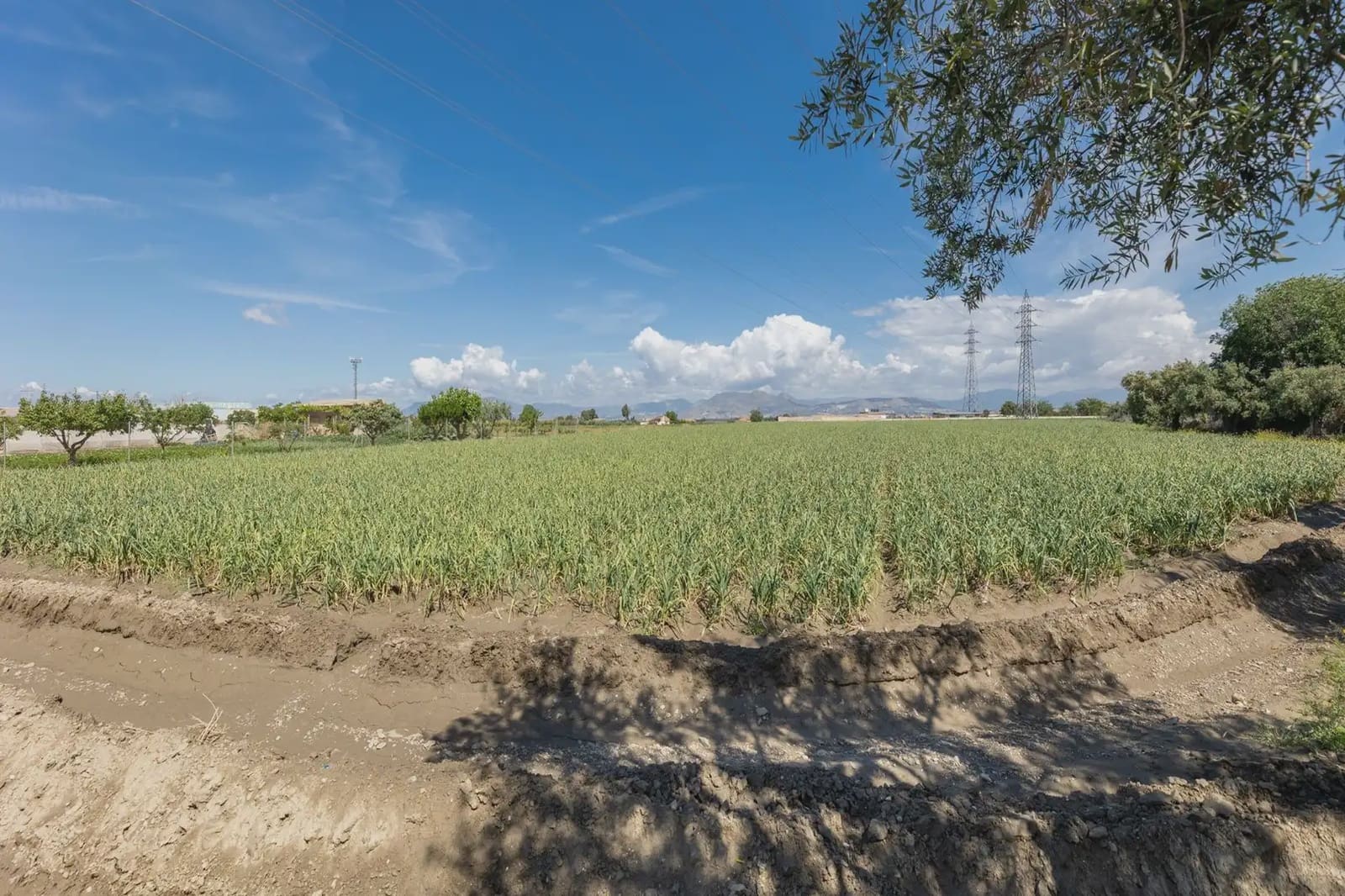 Grond te koop in Cullar Vega - € 45.000 (Ref: 9837048)