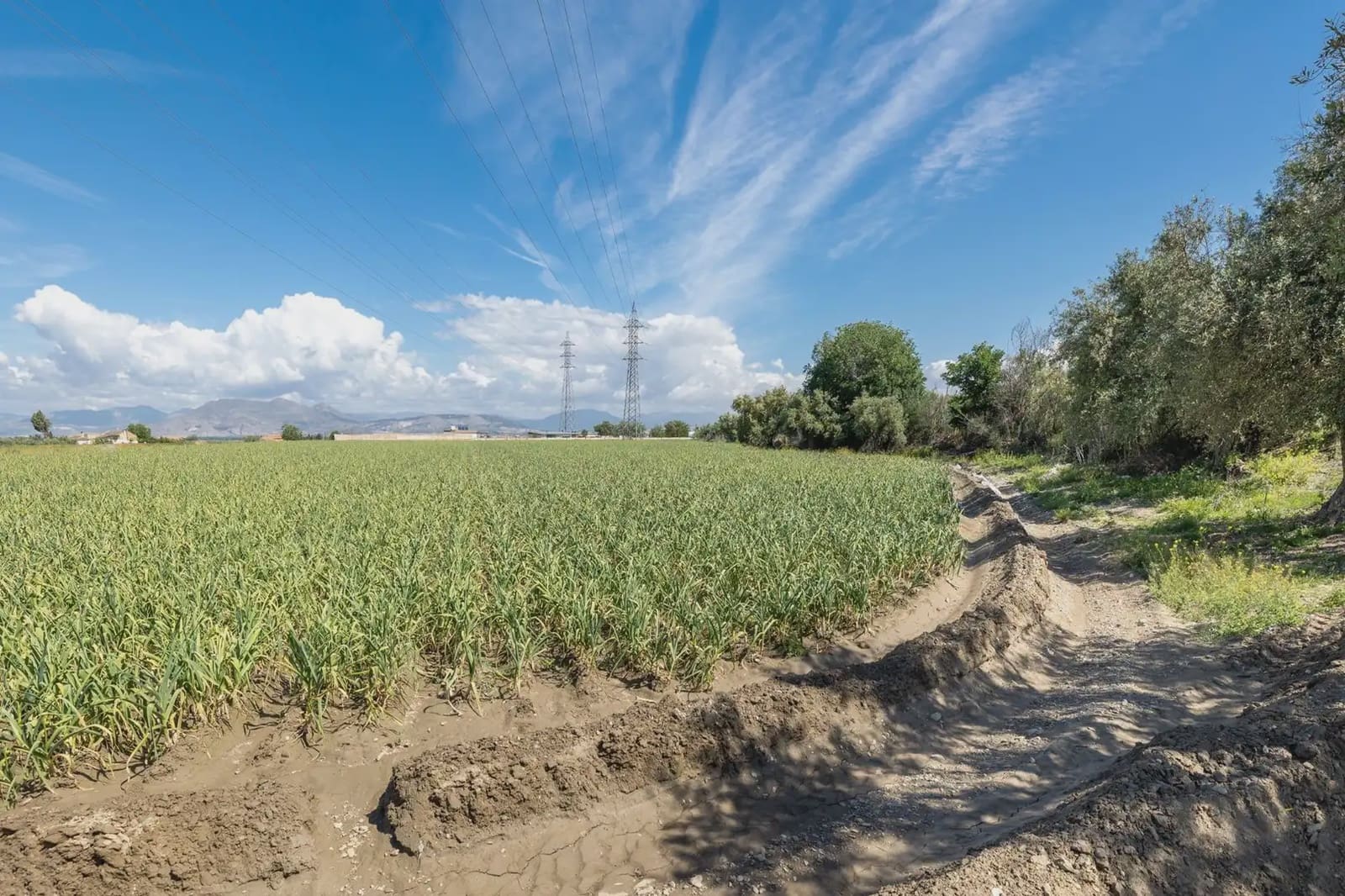 Grond te koop in Cullar Vega - € 45.000 (Ref: 9837048)