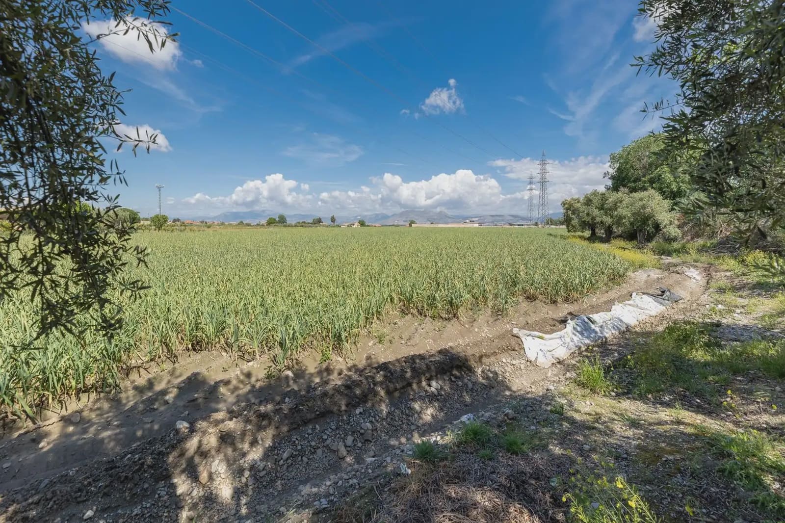 Grond te koop in Cullar Vega - € 45.000 (Ref: 9837048)
