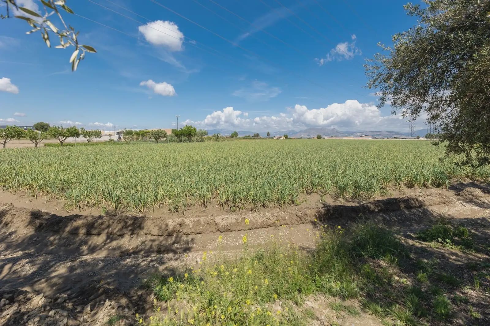 Grond te koop in Cullar Vega - € 45.000 (Ref: 9837048)