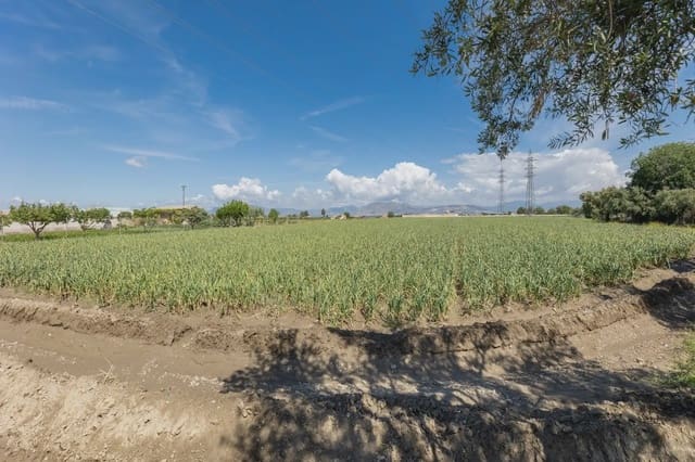 Grunde uden byggetilladelser til salg i Cúllar Vega - € 45.000 (Ref: 9837048)