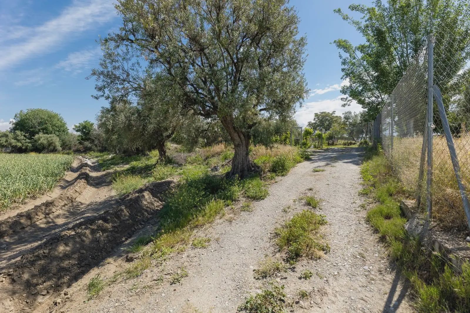 Grond te koop in Cullar Vega - € 45.000 (Ref: 9837048)