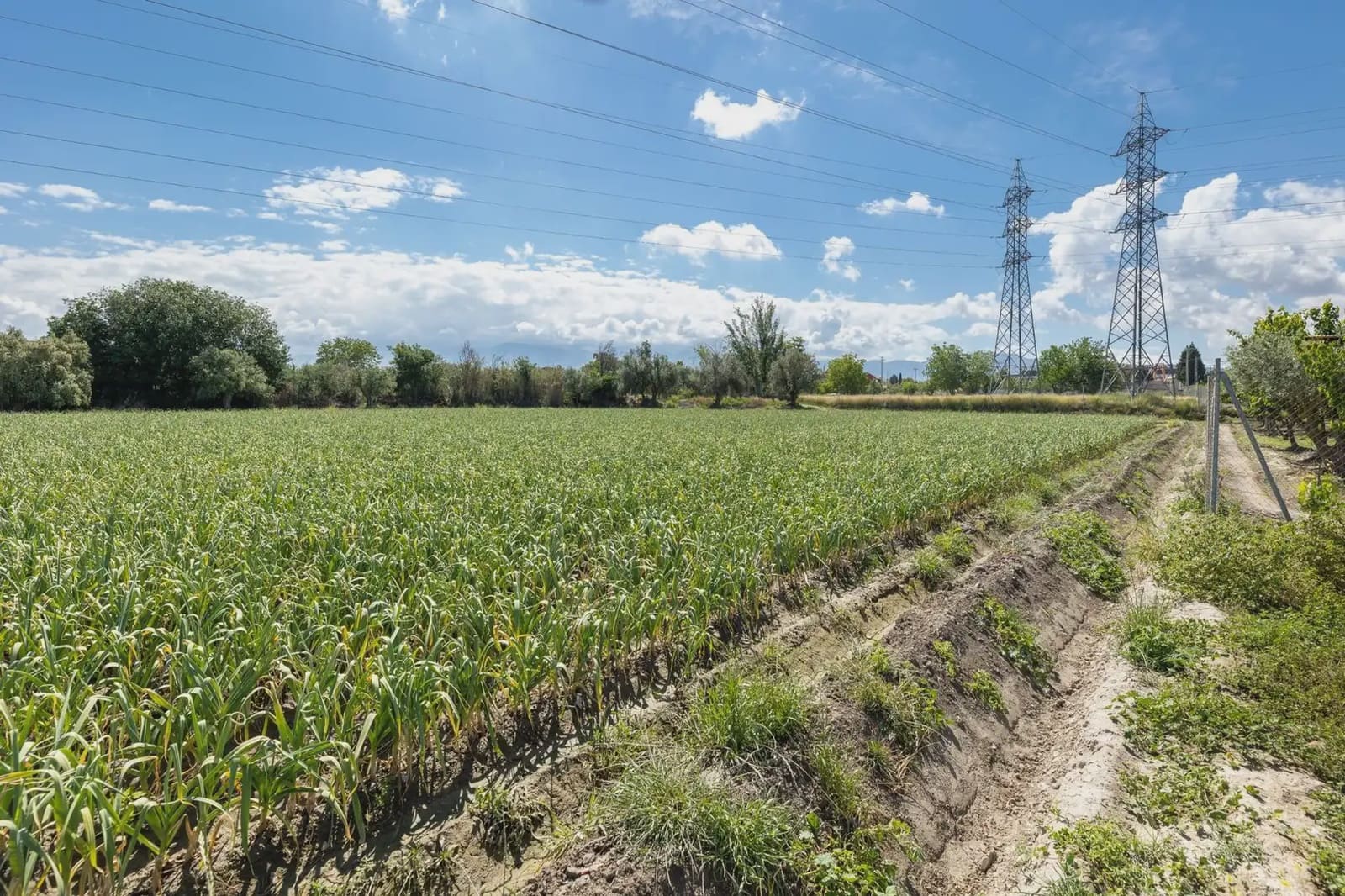 Grond te koop in Cullar Vega - € 45.000 (Ref: 9837048)