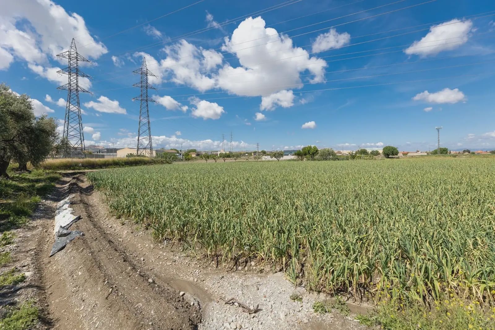 Grond te koop in Cullar Vega - € 45.000 (Ref: 9837048)