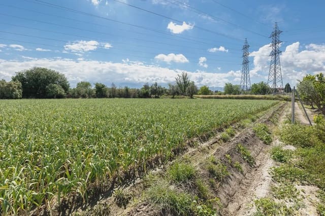 Grunde uden byggetilladelser til salg i Cúllar Vega - € 45.000 (Ref: 9837048)