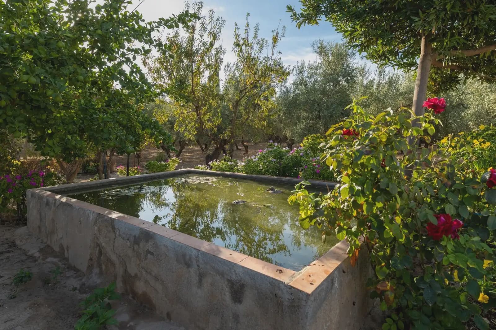 Finca/Hus på landet till salu i Moraleda de Zafayona med pool - 220 000 € (Ref: 9837058)