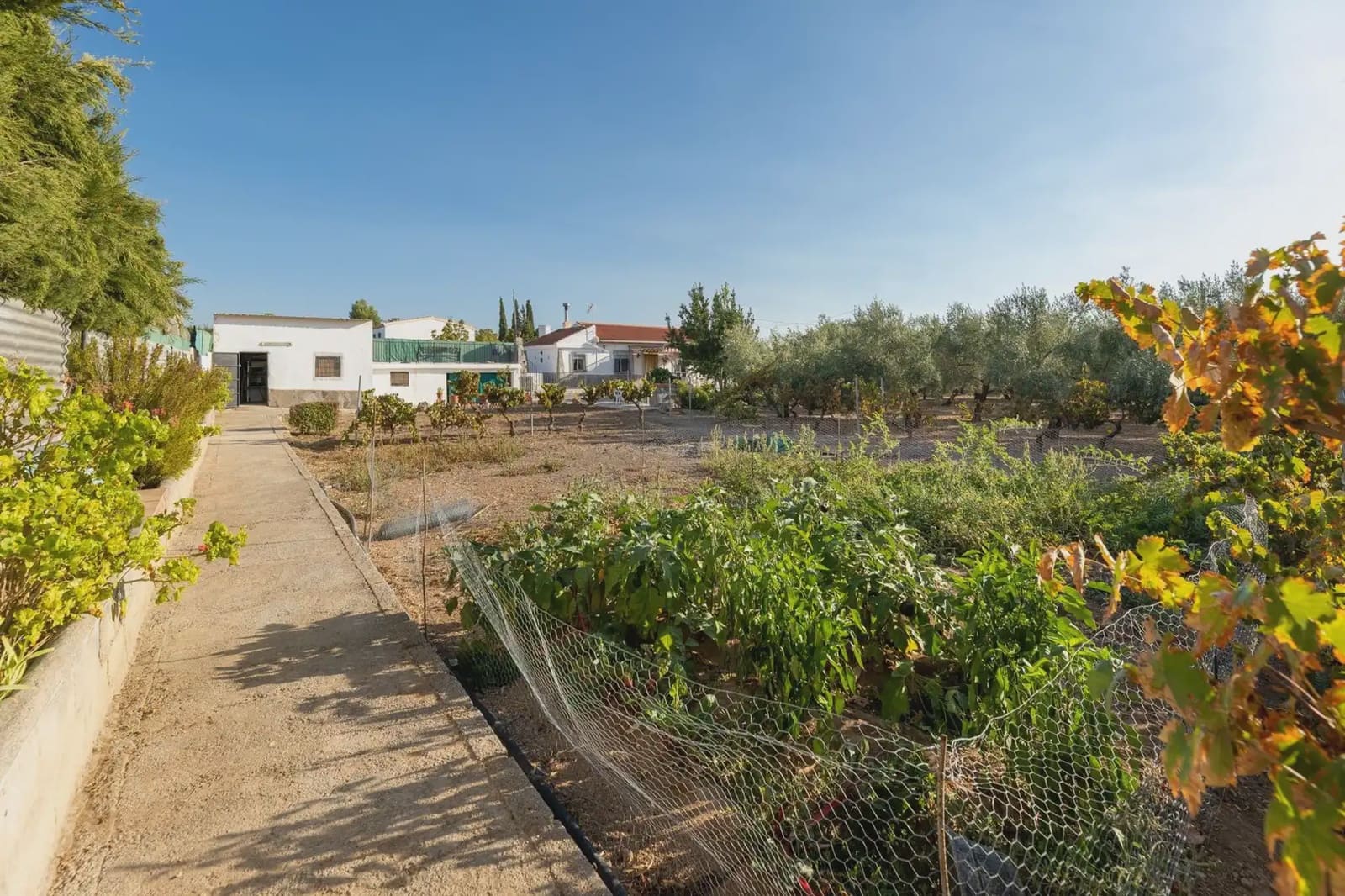 Finca/Hus på landet till salu i Moraleda de Zafayona med pool - 220 000 € (Ref: 9837058)