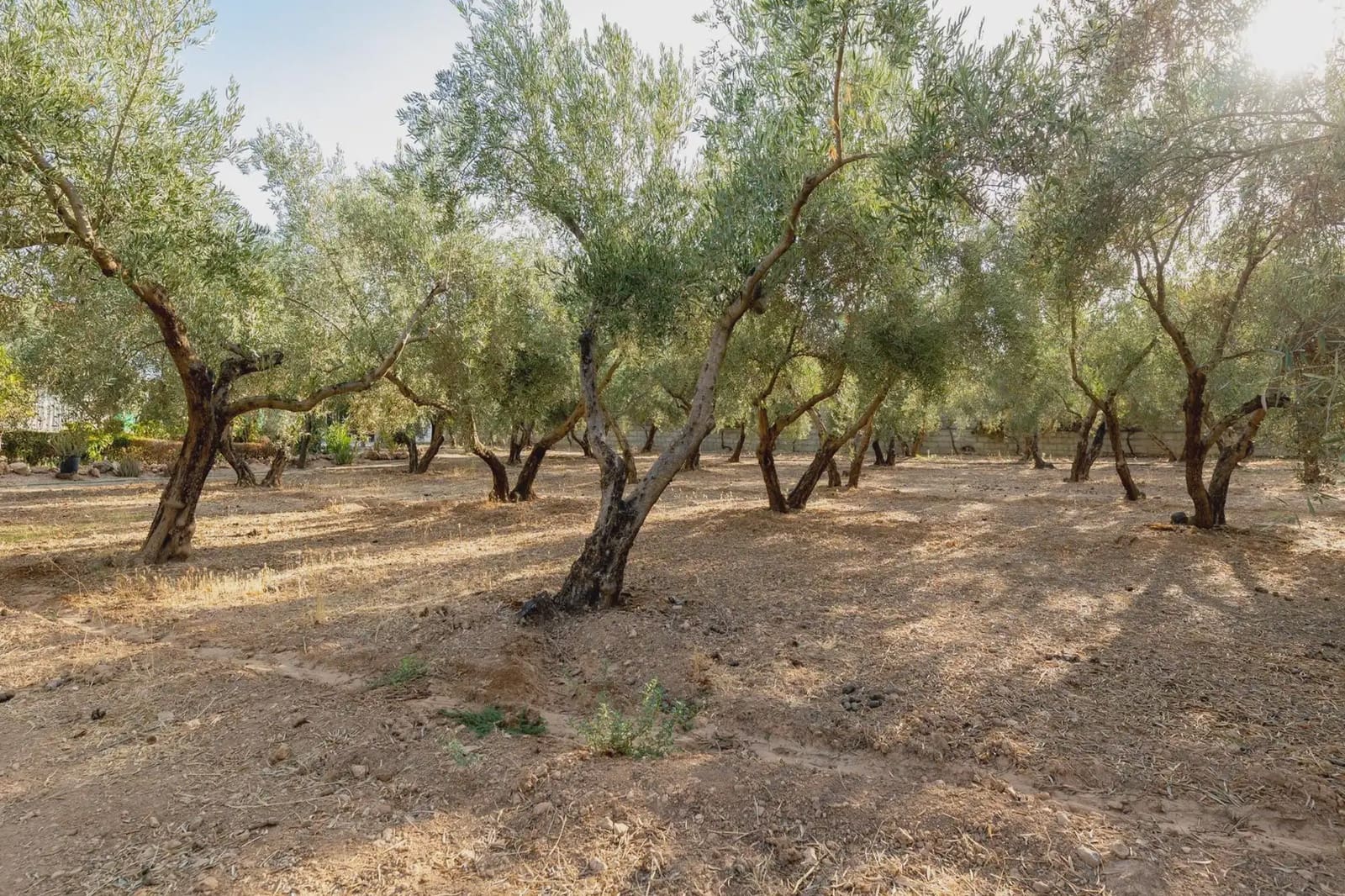 Finca/Hus på landet till salu i Moraleda de Zafayona med pool - 220 000 € (Ref: 9837058)