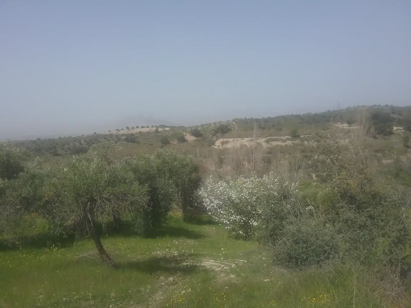 Grunde uden byggetilladelser til salg i Granada by - € 55.000 (Ref: 9837079)