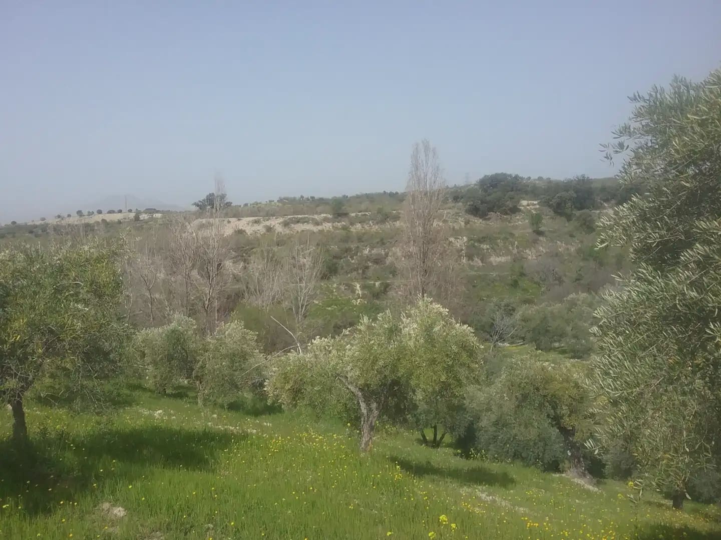 Grunde uden byggetilladelser til salg i Granada by - € 55.000 (Ref: 9837079)