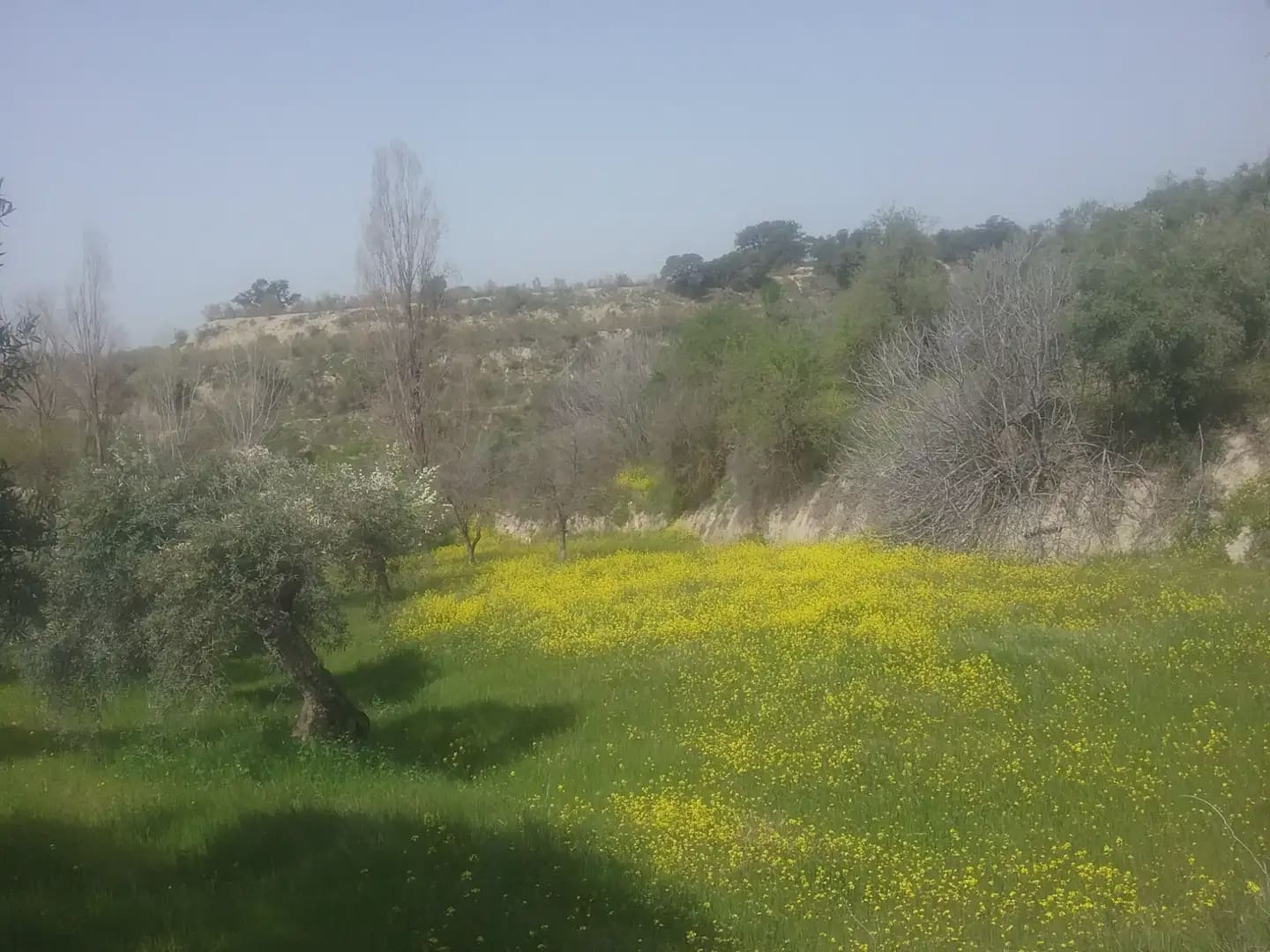 Grunde uden byggetilladelser til salg i Granada by - € 55.000 (Ref: 9837079)