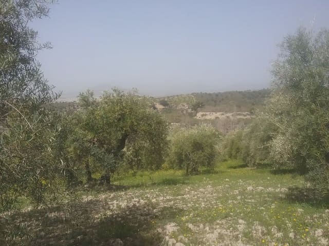 Grunde uden byggetilladelser til salg i Poligono Cartuja - La Paz, Granada by - € 55.000 (Ref: 9837079)