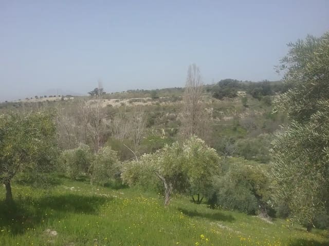 Grunde uden byggetilladelser til salg i Poligono Cartuja - La Paz, Granada by - € 55.000 (Ref: 9837079)