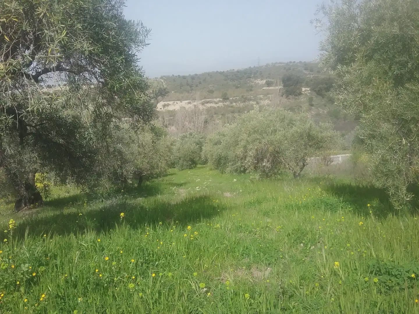Grunde uden byggetilladelser til salg i Granada by - € 55.000 (Ref: 9837079)